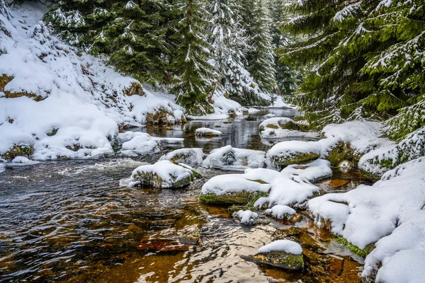 Sunny Winter Afternoon Jizera River Full Boulders Covered Snow Jizera — Stock Photo, Image