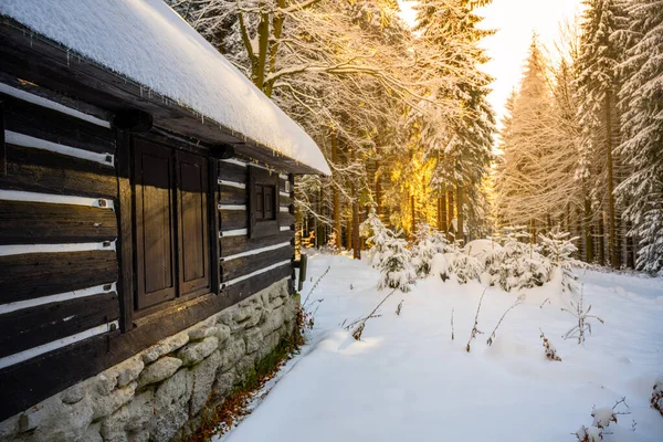 Small wooden forest cabin in winter. Jizera Mountains, Czech Republic