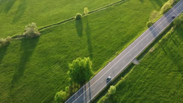 Über Asphaltierte Straßen Mit Fahrenden Autos Ländlicher Natur Tschechien Luftaufnahmen — Stockvideo