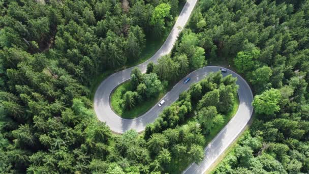 Fahrzeuge Waldschlangenlinien Asphaltierte Kurvenreiche Straße Naturgebiet Top Aufnahmen Aus Der — Stockvideo