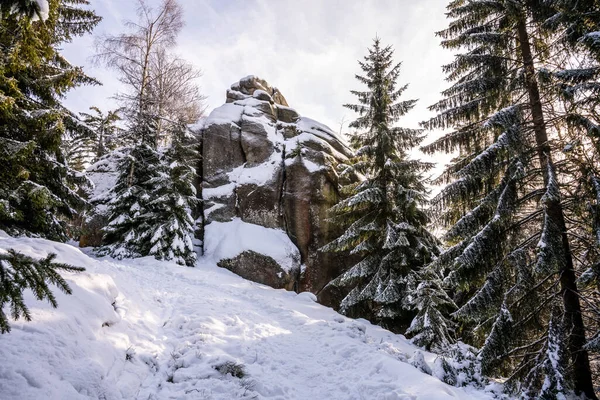 Žulová Skalní Formace Granicznik Pokrytá Sněhem Zimní Les Jizerských Hor — Stock fotografie