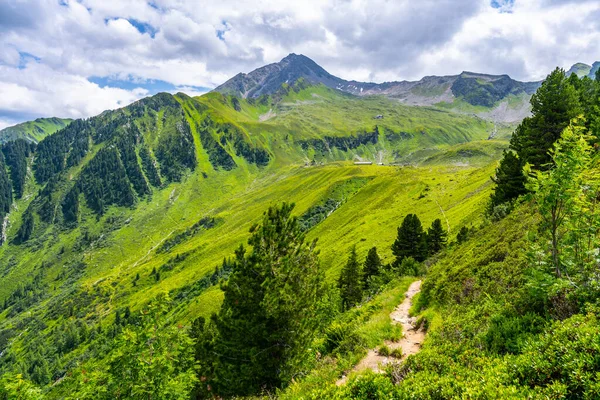 Prati Verdi Sentiero Turistico Ahornspitze Montagna Nelle Alpi Zillertrali Austria — Foto Stock