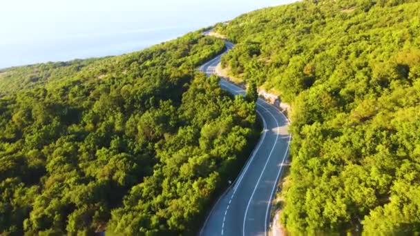 Kurvenreiche Küstenstraße Einem Sonnigen Sommermorgen Luftaufnahmen Von Drohnenflügen — Stockvideo