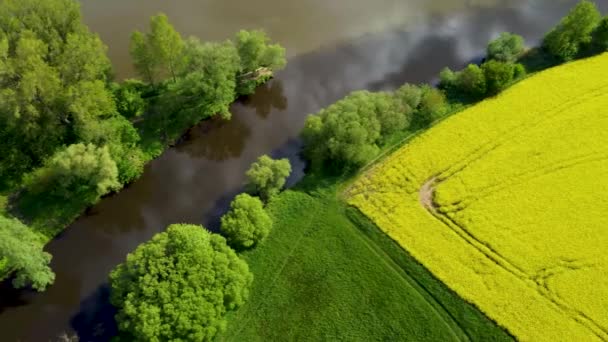 Řeka Labe Jizera Karan Česká Republika Letecký Záznam Drona — Stock video
