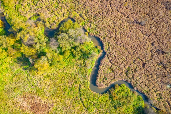 Wąski Strumień Meandry Jesiennym Krajobrazie Zielona Trawa Łąki Kolorowe Drzewa — Zdjęcie stockowe