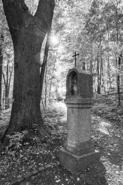 Calvaire Forestier Automne Frydlant Cechach République Tchèque Image Noir Blanc — Photo