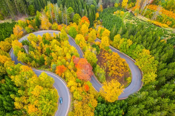 カラフルな秋の日に森林アスファルトの道路巻き 自然の風景の中で蛇紋岩 ドローンからの空中風景 — ストック写真