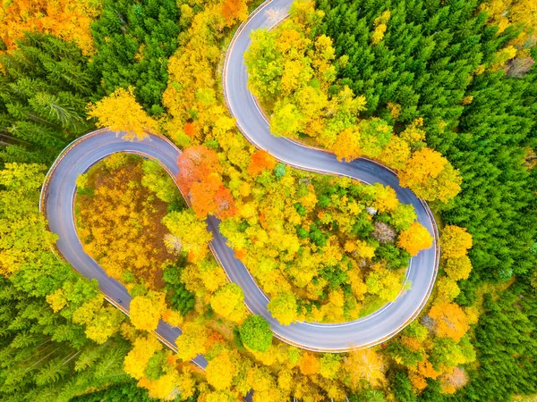 Sinuoso Camino Asfalto Bosque Colorido Día Otoño Serpentina Paisaje Natural — Foto de Stock