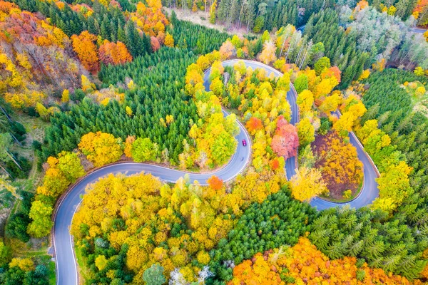 カラフルな秋の日に森林アスファルトの道路巻き 自然の風景の中で蛇紋岩 ドローンからの空中風景 — ストック写真