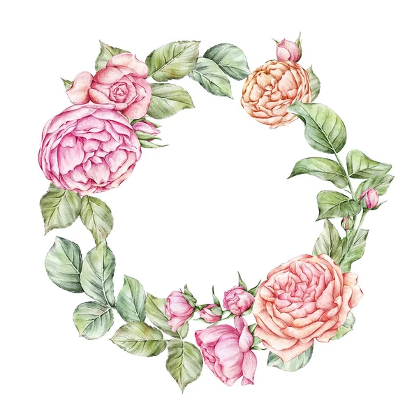 Watercolor Roses Frame Wreath Decorative Elements Wedding Invitations Baby Showers — Stock fotografie