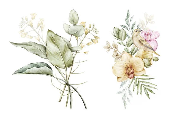 Akvarell Virágcsokor Összetétel Elszigetelt Háttér — Stock Fotó