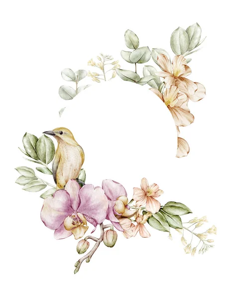 Akvarel Orchidej Květinový Rám Věnec Ohraničení Pro Blahopřání Dekorativní Prvek — Stock fotografie