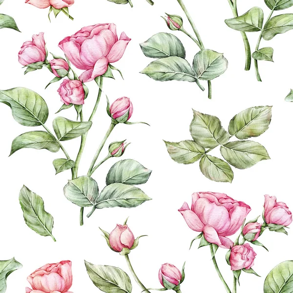 Akvarelové Růže Květinové Bezešvé Vzor Pozadí — Stock fotografie