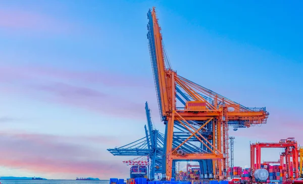 Containerkranfraktfartyg Med Fungerande Kranlastningsbryggor Varvet Vid Varvet För Logistisk Import — Stockfoto