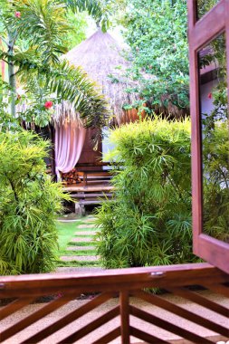 Havalı bambu ve ağaçlarla çevrili palmiye bahçesi kulübesi.