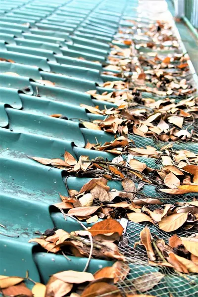 Dried dead leaves clog house roof gutter. Green roof shingles in summer time