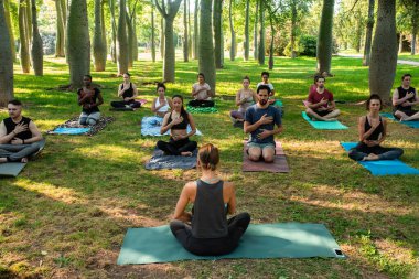 A group of people practicing yoga at the park
