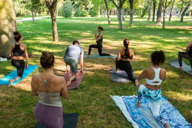 yoga teacher teaching a group of people at the park