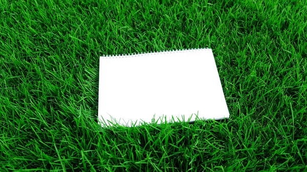 在绿草的背景上装上空白的白纸 关于消息平面的性质的卡片 带有文本或产品演示的复制空间 自然概念 商业和生活环境 顶部视图 — 图库照片