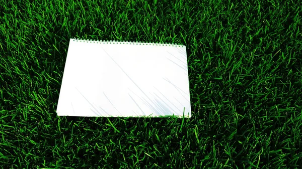 Макет Пустой Белой Бумаги Зеленом Фоне Травы Натуре Послания Лежало — стоковое фото
