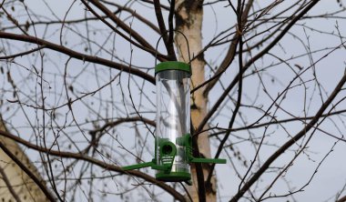Şehir parkındaki bir ağaca veya sonbahar ormanına konmuş boş plastik kuş yemi. Soğuk mevsimde yabani kuşlara yem olur. Bulutlu sonbahar gökyüzü.