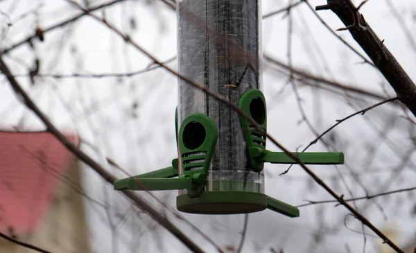 Zielony plastikowy karmnik dla ptaków z nasionami słonecznika na drzewie w parku miejskim lub jesiennym lesie. Pasza dla dzikiego ptactwa w zimnym sezonie. Chmurne jesienne niebo. Czerwony dach tła domu. — Zdjęcie stockowe