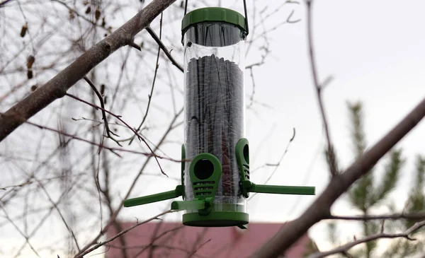 Alimentador de pássaros de plástico verde com sementes de girassol em uma árvore no parque da cidade ou floresta de outono. Alimentação para aves selvagens na estação fria. Céu de outono nublado. Telhado da casa e Birch ramos fundo. — Fotografia de Stock