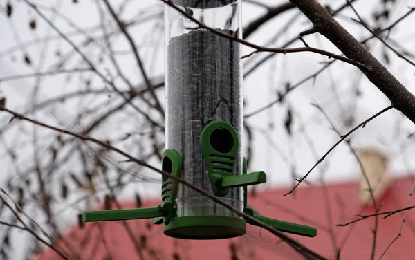 Green plastic bird feeder with sunflower seeds on a tree in the city park or autumn forest. Feed for wild birds in cold season. Cloudy autumn sky. Red roof of house background.