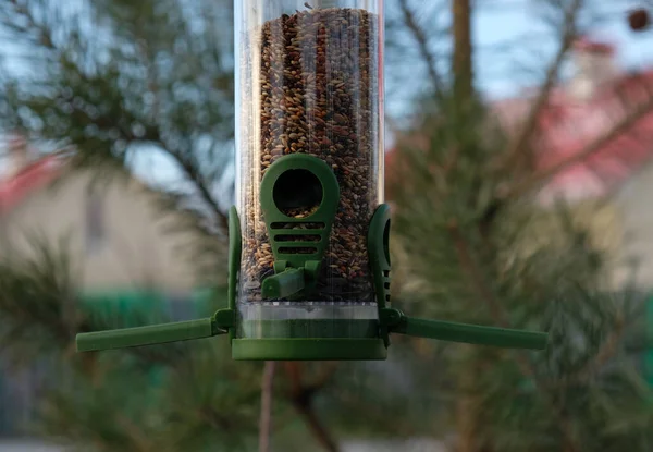 Alimentador de pássaros de plástico verde com sementes em uma árvore no parque da cidade ou floresta de outono. Alimentação para aves selvagens na estação fria. Casa com telhado vermelho e fundo de pinheiro. — Fotografia de Stock
