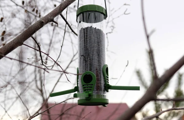 Alimentador de pássaros de plástico verde com sementes de girassol em uma árvore no parque da cidade ou floresta de outono. Alimentação para aves selvagens na estação fria. Céu de outono nublado. Telhado da casa e Birch ramos fundo. — Fotografia de Stock