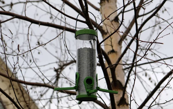 Green plastic bird feeder with sunflower seeds on a tree in the city park or autumn forest. Feed for wild birds in cold season. Cloudy autumn sky. Roof of house and Birch branches background.