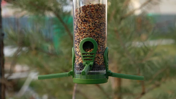 Alimentador de pássaros de plástico verde com sementes em uma árvore no parque da cidade ou floresta de outono. Alimentação para aves selvagens na estação fria. Casa com telhado vermelho e fundo de pinheiro. — Fotografia de Stock