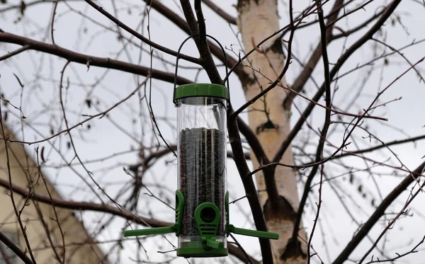 Green plastic bird feeder with sunflower seeds on a tree in the city park or autumn forest. Feed for wild birds in cold season. Cloudy autumn sky. Roof of house and Birch branches background.