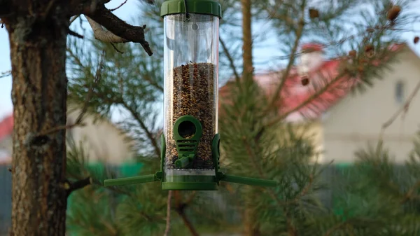 Alimentador de pássaros de plástico verde com sementes em uma árvore no parque da cidade ou floresta de outono. Alimentação para aves selvagens na estação fria. Casa com telhado vermelho e fundo de pinheiro. — Fotografia de Stock