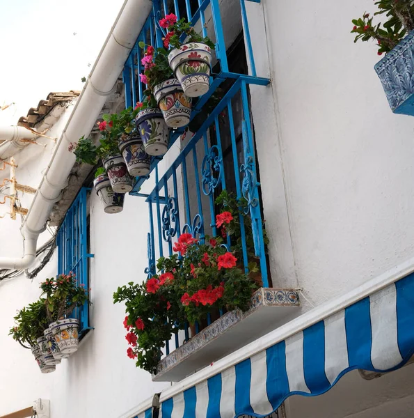 Beyaz duvar evi, mavi pencereler ve balkonlarda kil kaplarda çiçek açan bitkiler - Malaga, Endülüs, İspanya 'da sardunya, pelargonyum. Saksıda, açık havada ev bitkileri