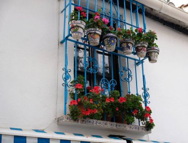 Beyaz duvar evi, mavi pencereler ve balkonlarda kil kaplarda çiçek açan bitkiler - Malaga, Endülüs, İspanya 'da sardunya, pelargonyum. Saksıda, açık havada ev bitkileri