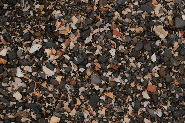 Море или река разноцветные гальки и seashellson пляж. Естественная текстура пляжной гальки. Выветривание и эрозия пород. — стоковое фото