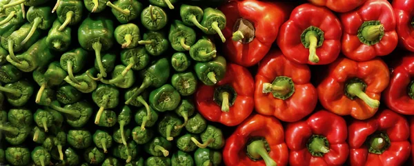 Banner con Trendy bellissimo peperone verde biologico e rosso paprica sul mercato. Vitamina sano cibo texture sfondo. — Foto Stock