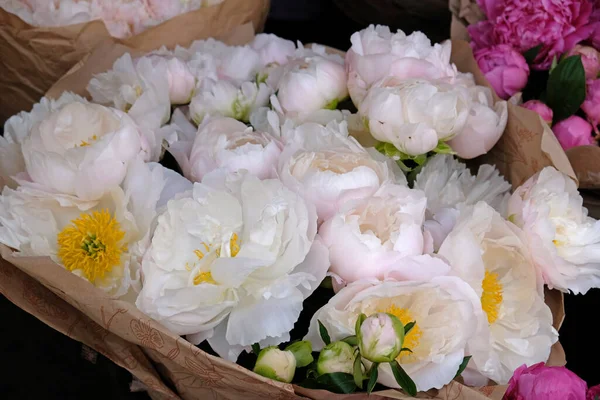 Beautiful colorful bouquet of peonies packaged in kraft paper in flower shop or flower market. Background of beautiful blooming peonies. Close-up of flowers, abstract soft floral background, top view.