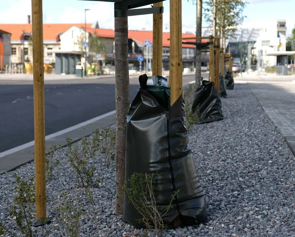 Irrigazione Albero Borsa Irrigazione Sacchetto Plastica Con Acqua Fissata All — Foto Stock