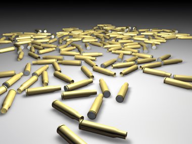 boş tüfek mermileri