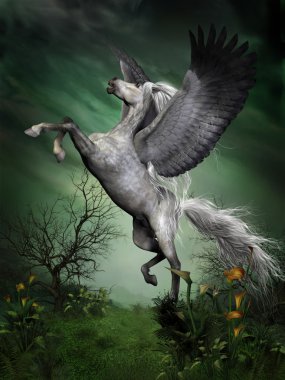 Alaca gri pegasus