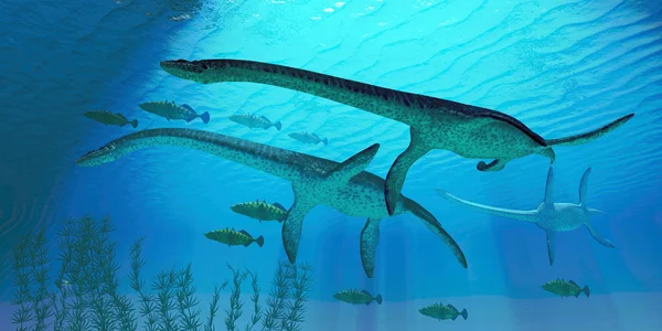 Plesiosaurus geçiş — Stok fotoğraf