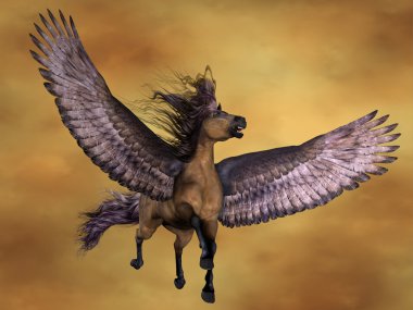 Gruella Pegasus