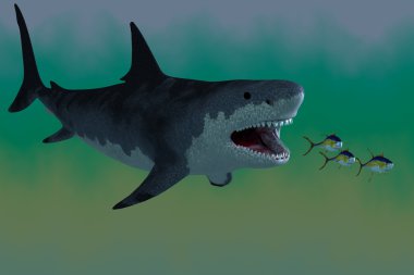 Megalodon köpekbalığı saldırısı
