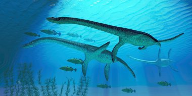 Plesiosaurus Migration clipart