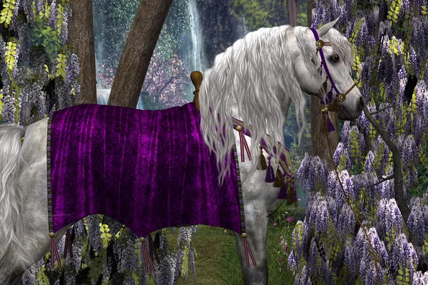 Arabian and Wisteria — Stock Photo, Image