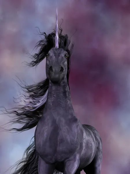 Unicorno nero — Foto Stock