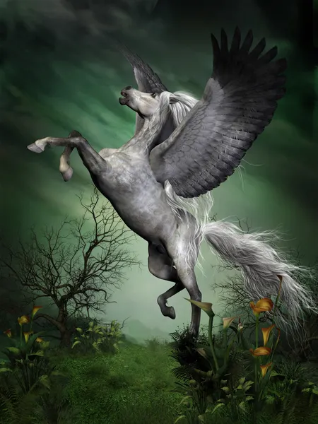 Apfelgrauer Pegasus — Stockfoto