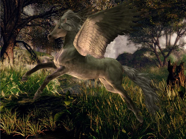 Pegasus orman — Stok fotoğraf